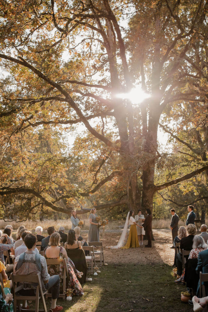 Couple gets married under huge oak tree at Mount Pisgah in Eugene