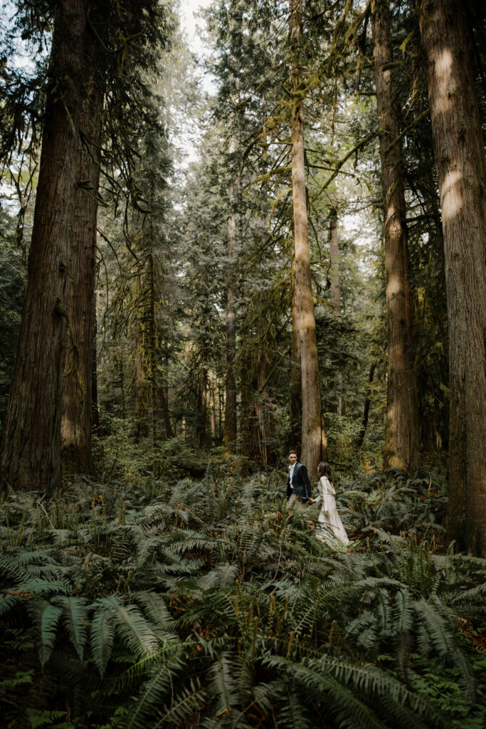 elopement couple hold hands walking through the olympic national park forest
