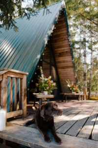 elopement couple's dog lays in front of the cabin before the ceremony