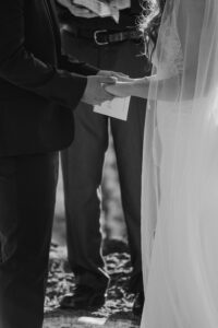 Closeup of couple exchanging vows with veil detail.