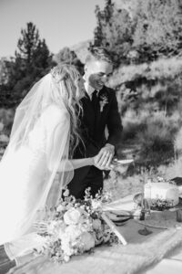 Wedding couple cuts cake pieces at smith rock state park