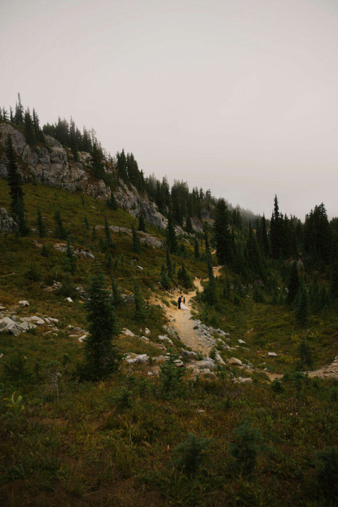 couple walks through meadows at paradise mount rainier