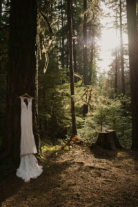 grace loves lace wedding dress hangs in a tree at a mount rainier elopement in the woods